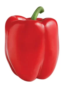 RED BELL PEPPER