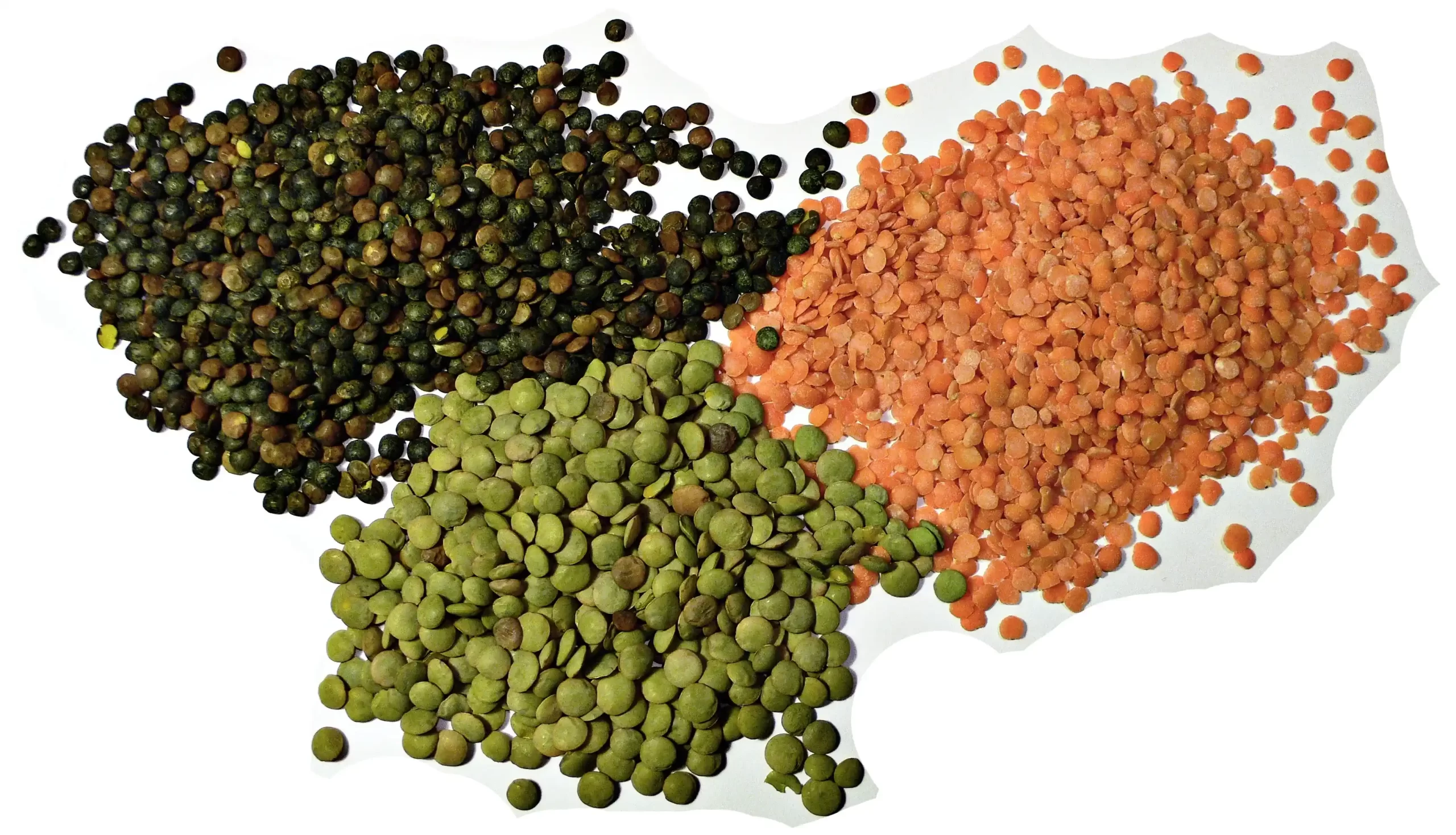 Lentils /Beans