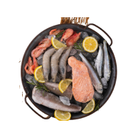 Frozen Sea Food