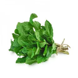 MINT