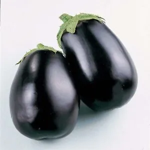 EGGPLANT ROUND BIG