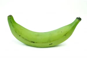 GREEN PLAINTAIN
