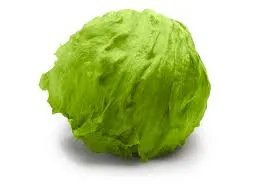 LETTUCE ICEBERG