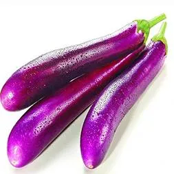 EGGPLANT LONG