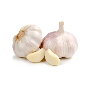 GARLIC