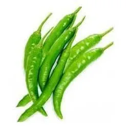 INDIAN GREEN CHILLI