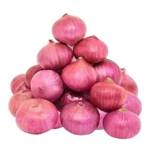RED ONION