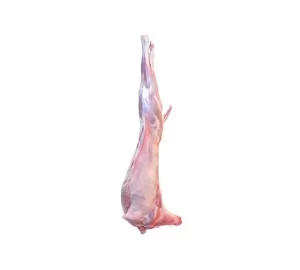 MUTTON CARACASS